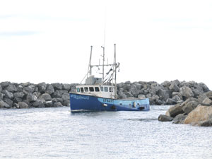 Un bateau de pêche quitte une marina