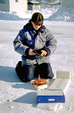 Prise de données sur les glaces