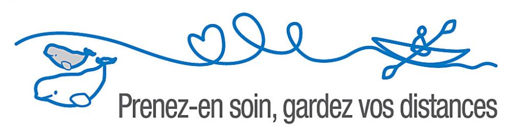 Affiche Prenez-en soin, gardez vos distances