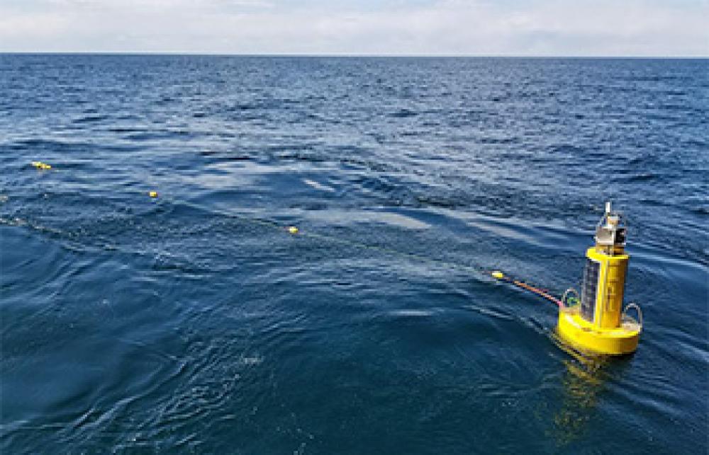 Viking Buoy