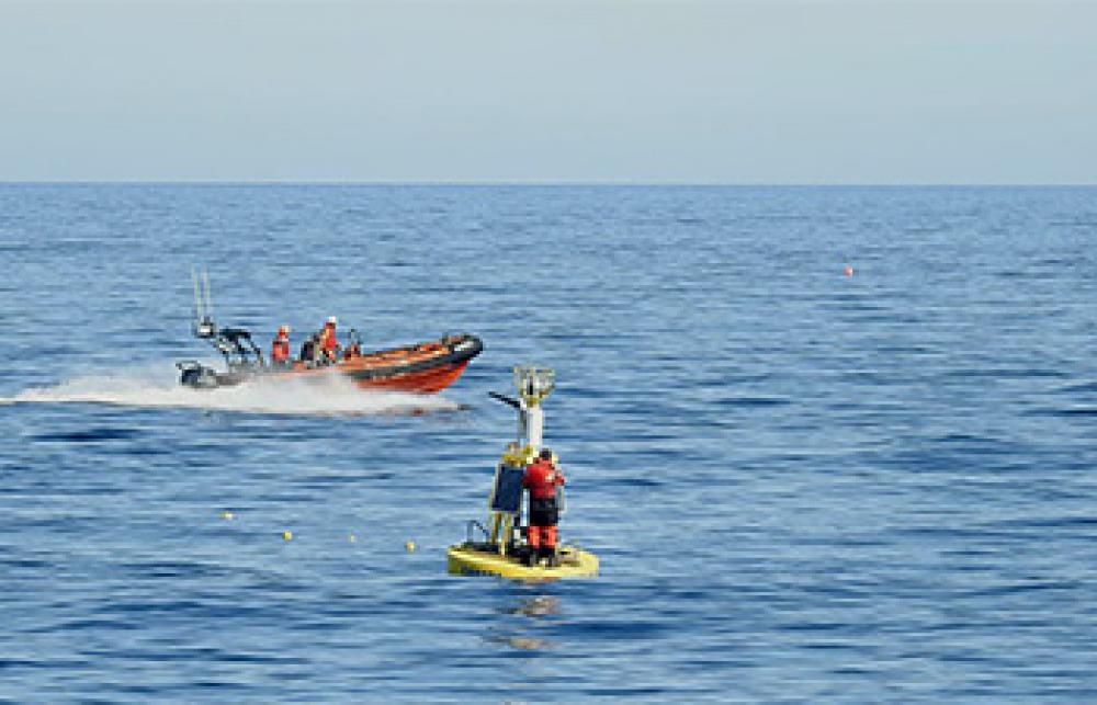 Viking Buoy