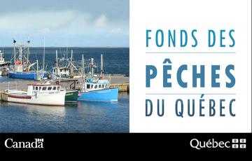 Bannière du Fonds des pêches du Québec