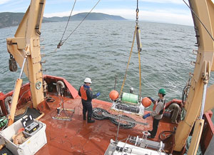 une équipe scientifique de Pêches et Océans Canad
