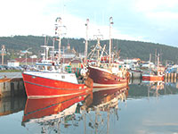 Maritime Fisheries in Quebec: Portrait of an Evolving Industry