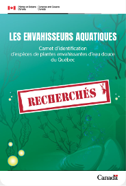 LES ENVAHISSEURS AQUATIQUES Carnet d’identification d’espèces de plantes envahissantes d’eau douce du Québec
