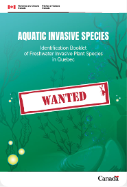 Identification booklet of freshwater inshore plant species in Quebec