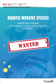 Identification booklet of Marine Species in Quebec