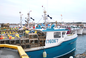 Port de pêche des Îles-de-la-Madeleine 