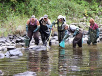 Un groupe de personnes fait l'inventaire de la rivière