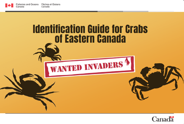 Identification Guide for Crabs of Eastern Canada