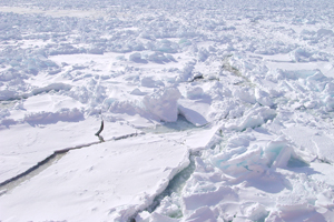 L’hiver dernier, la surface du golfe du Saint-Laurent était gelée à 98 %, d’une glace de 2 à 4 mètres d’épaisseur à plusieurs endroits