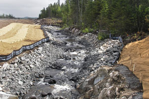 Mesures d’atténuation mises en œuvre lors de travaux de reconstitution d’un cours d’eau en bordure de la route 175 dans la réserve faunique des Laurentides. 