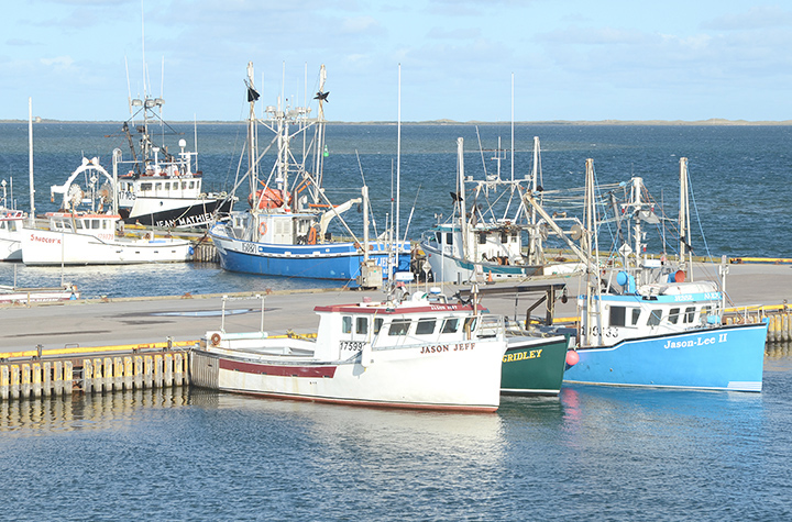 Plusieurs bateaux de pêche à quai aux Îles-de-la-Madeleine.