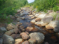 Aménagement d’un habitat de l’omble de fontaine – réserve faunique de Portneuf. Après les travaux