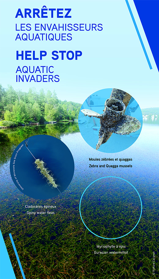 Arretez les envahisseurs aquatiques
