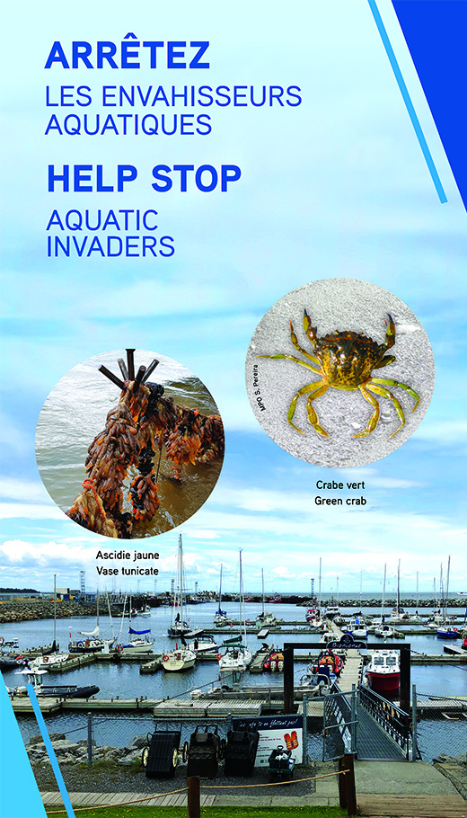 Arretez les envahisseurs aquatiques