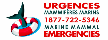 picto emergency