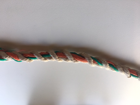 Annex 1-Fig A-Colour combo identifying Region and Species