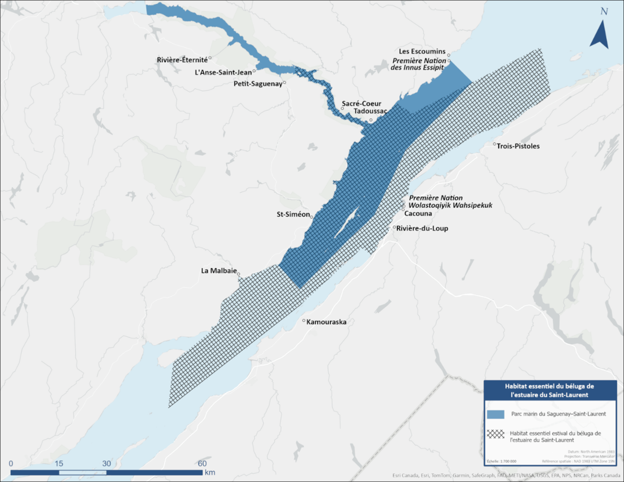 Carte montrant les limites du parc marin du Saguenay-Saint-Laurent et de l'habitat du béluga. 