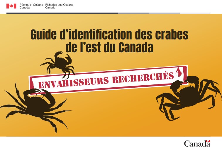 Aperçu de la page couverture du guide d'identification des crabes de l'est du Canada