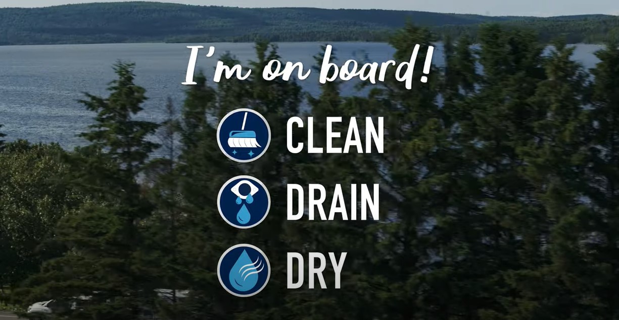 Picture written I'm on board! Clean, Drean, Dry