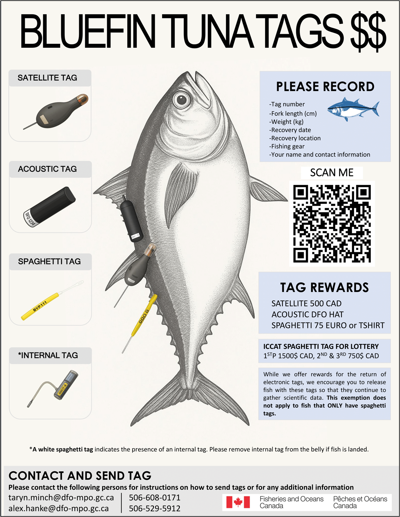 Bluefin tuna tags