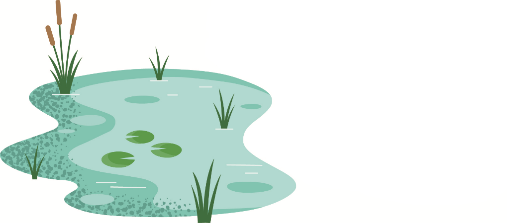 Une illustration représentant un habitat d’eau douce. L’eau est bleu-vert et on aperçoit des végétaux aquatiques comme des nénuphars et des quenouilles.