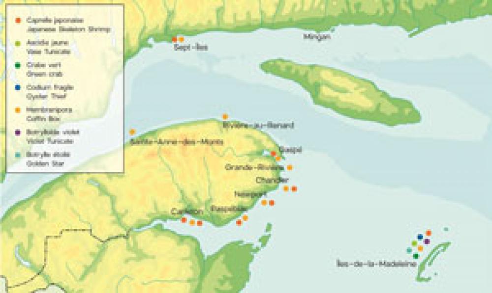 Espèces envahissantes détectées entre 2006 et 2016.