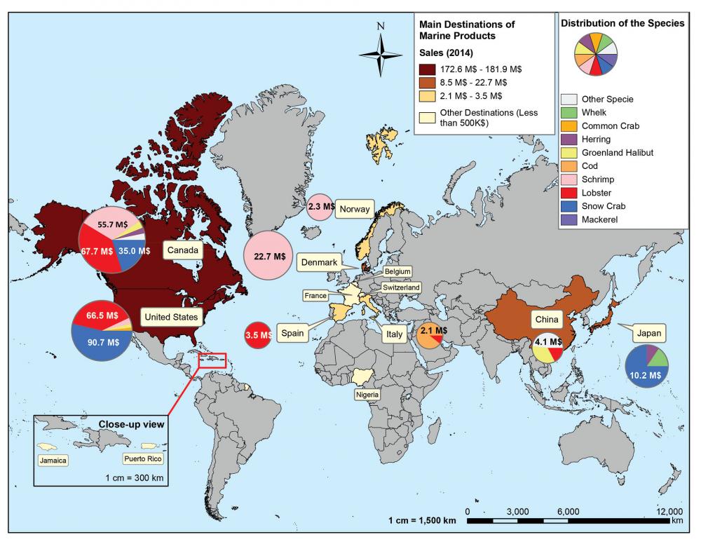 Destinations of seafood products and sales according to main species