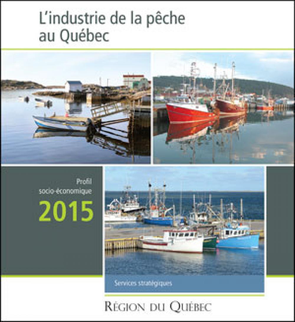 Portrait couverture socio économique