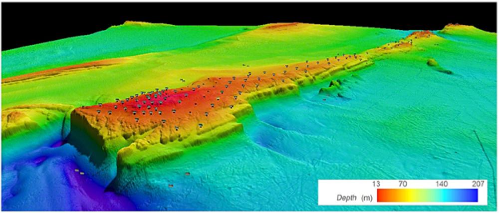 Représentation de 2012 en trois dimensions de la crête (section centrale) du banc des Américains et des stations d'échantillonnage en image benthique