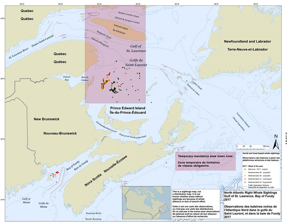 Carte géographique du golfe du St-Laurent identifiant la zone temporaire de limitation de vitesse obligatoire