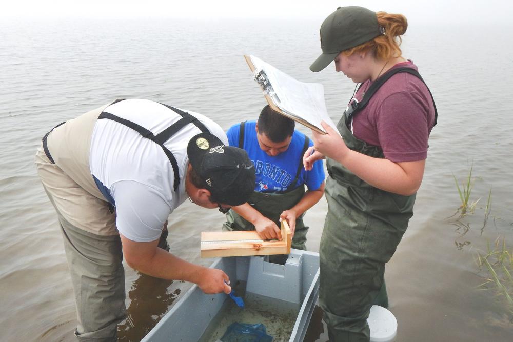 Photo of three people near the water taking measurements and making notes after deploying a seine