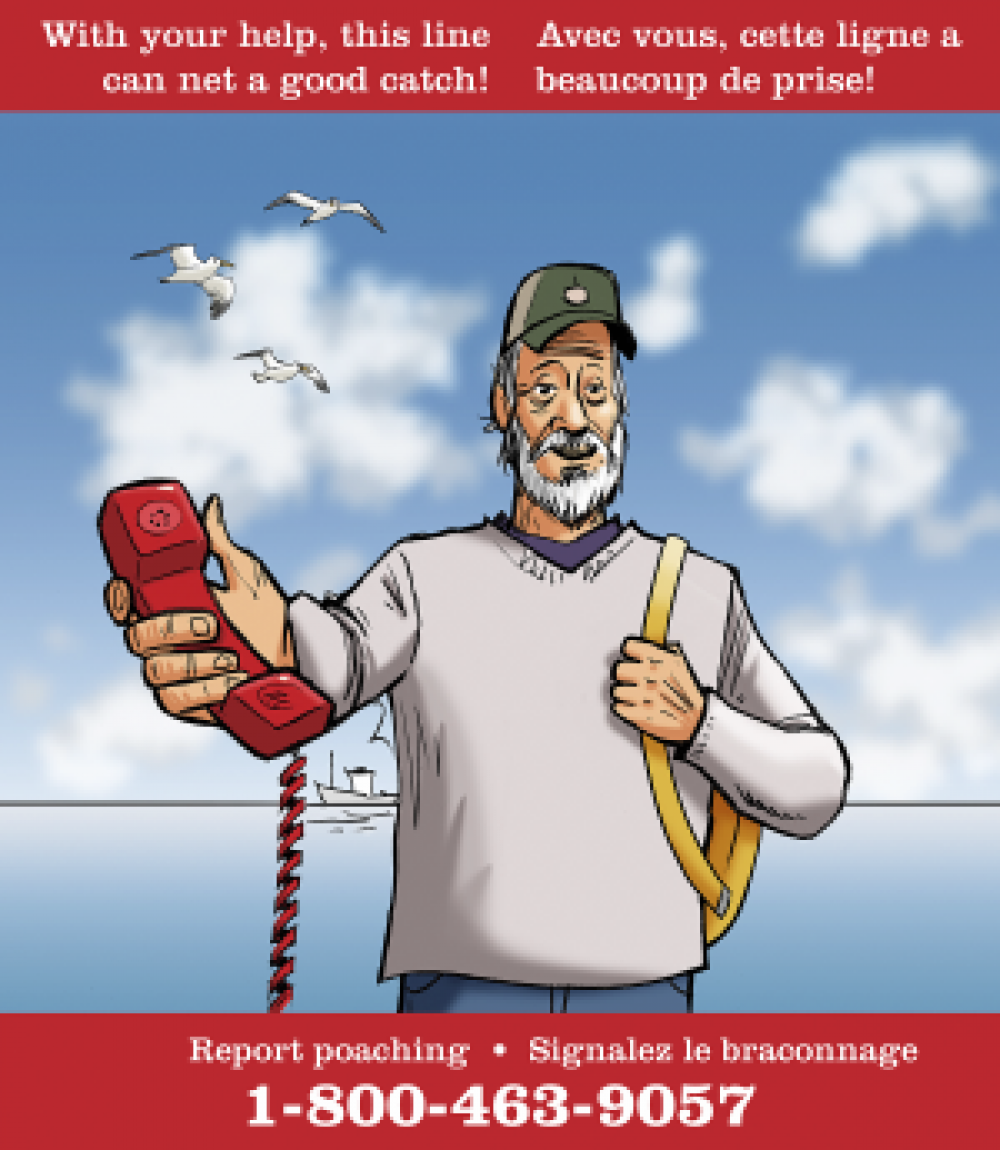 Braconnage alerte