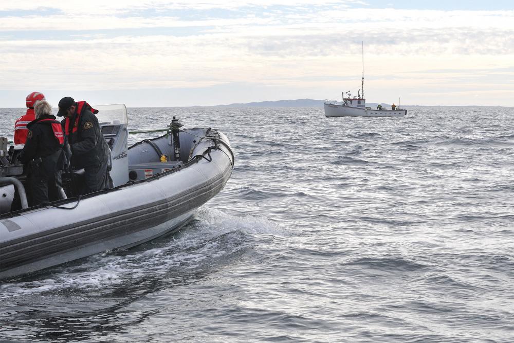 Photo showing a patrol heading toward a fishing boat