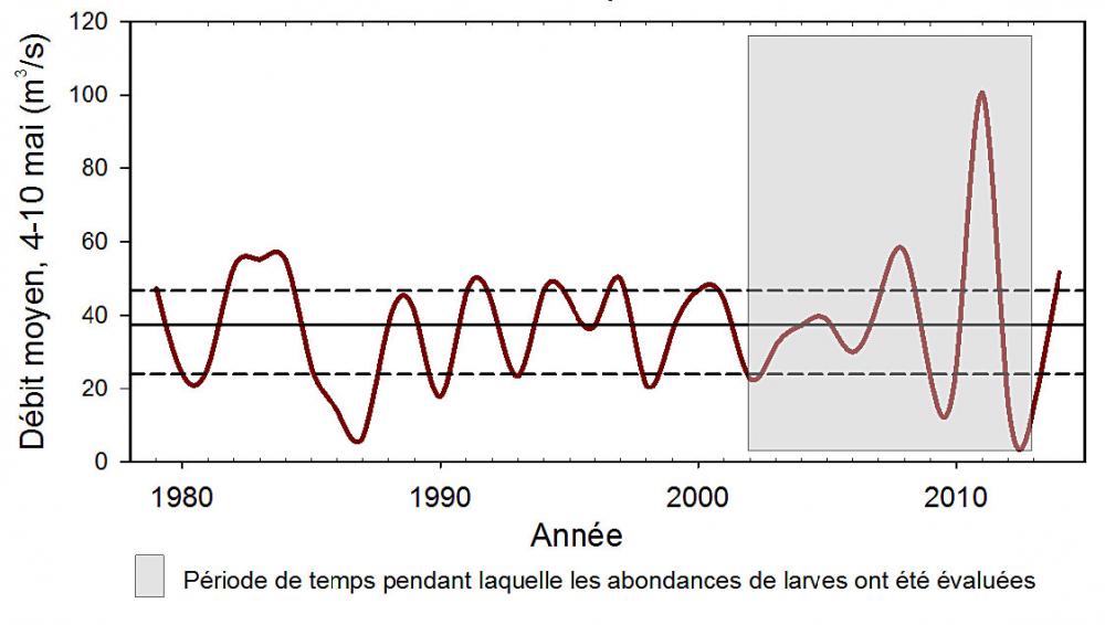 Figure illustrant la variation du débit moyen de la Rivière-du-Loup en fonction des années (ligne avec de multiples oscillations)