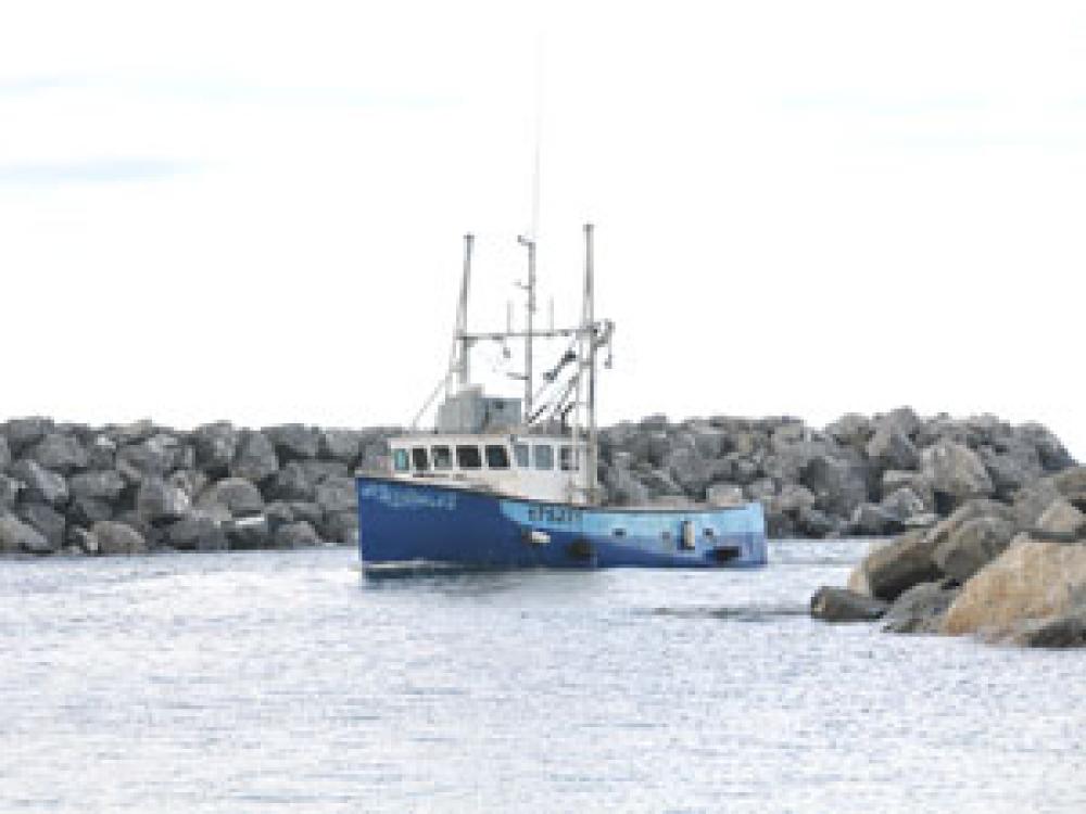 Un bateau de pêche quitte une marina