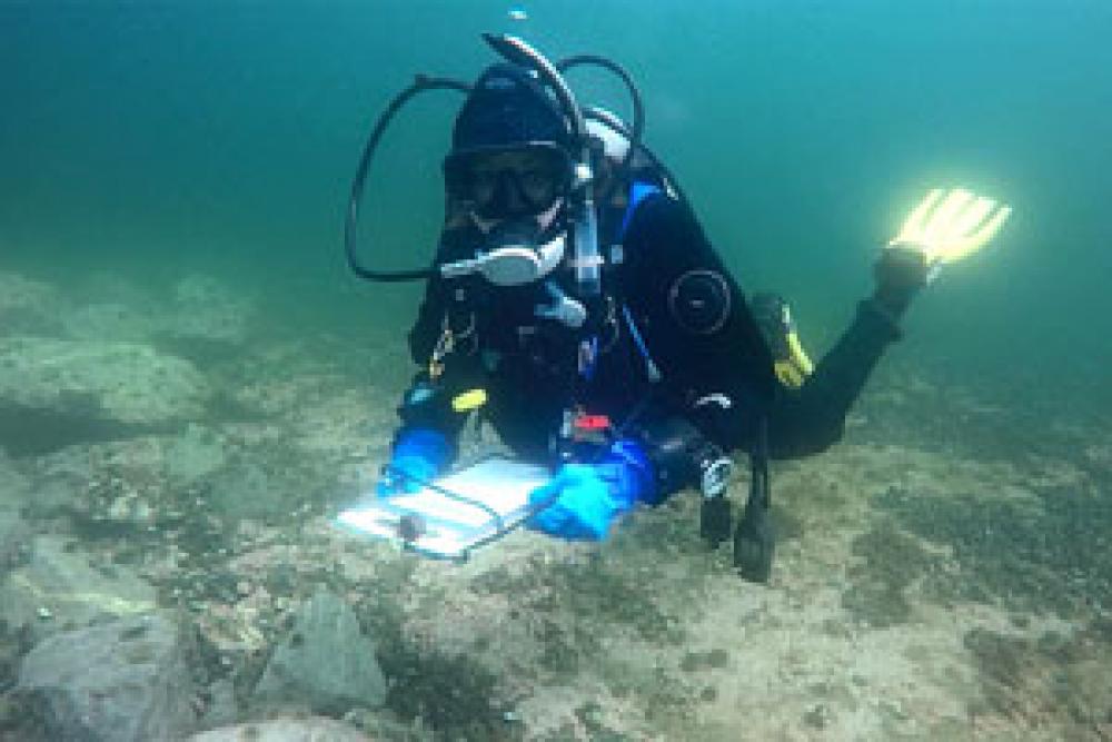 Diver Sophie Boudreau near an artificial lobster reef
