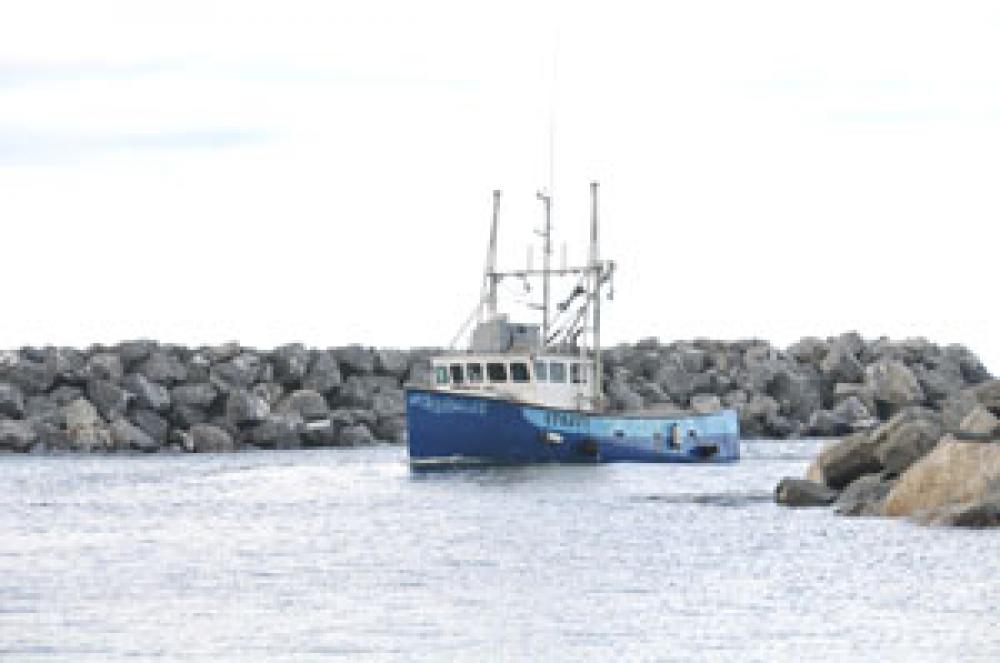 Photo d'un bateau de pêche rentrant au port