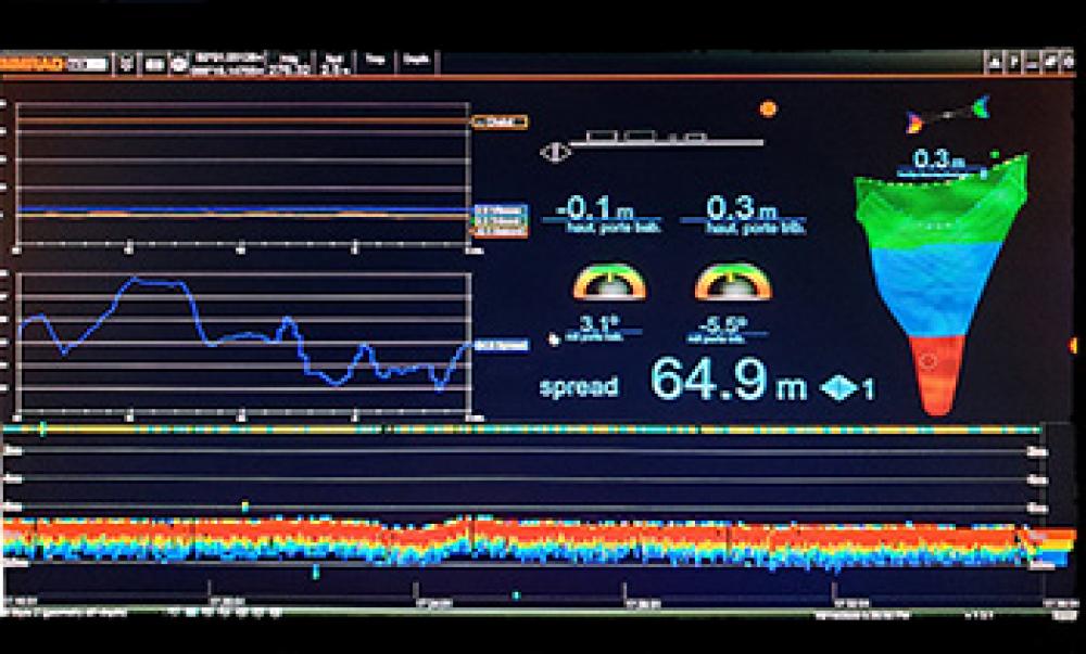Écosondeur d’un chalut à crevettes
