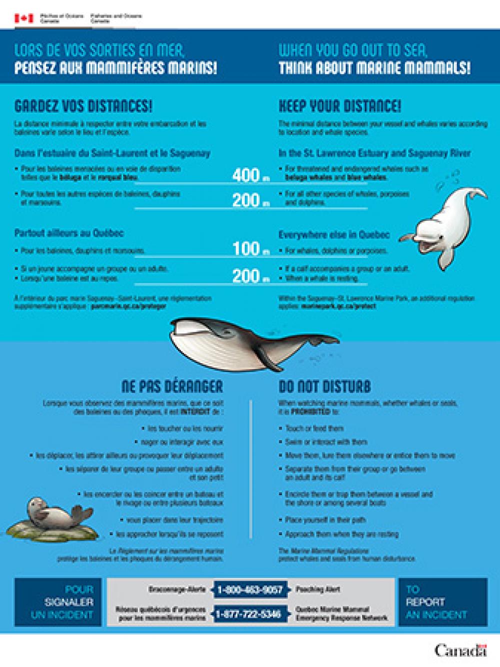 Marine Mammal Regulations Poster