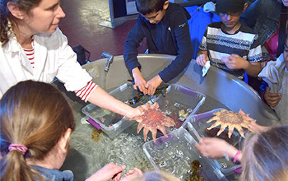 Une scientifique fait découvrir des étoiles de mer à de jeunes visiteurs.