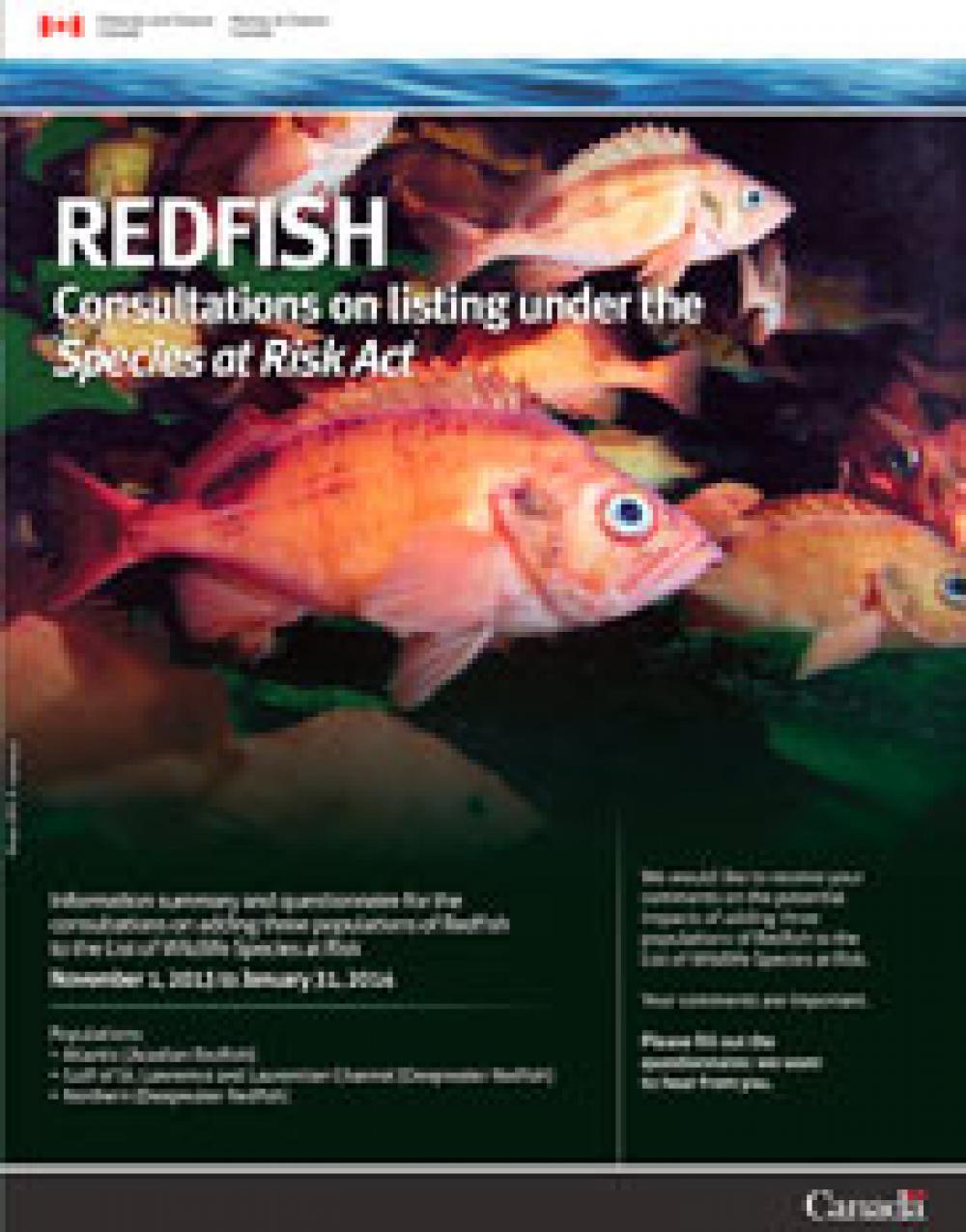 Redfish