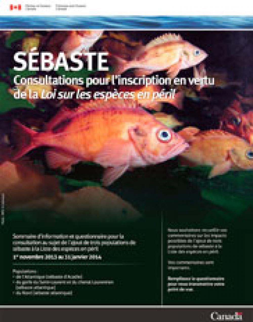 Sébaste