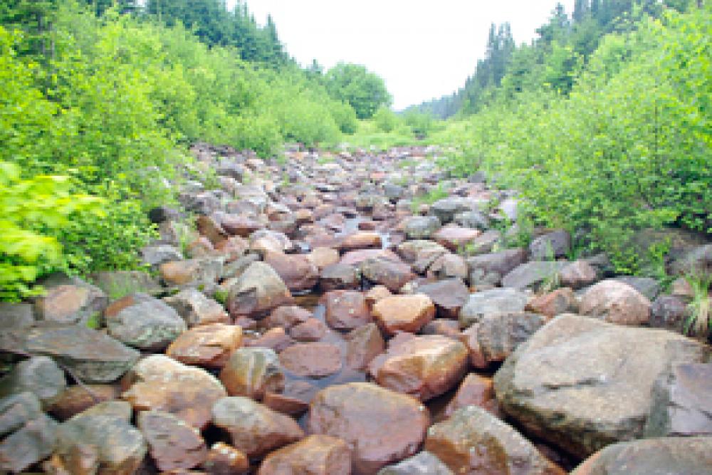 Aménagement d’un habitat de l’omble de fontaine – réserve faunique de Portneuf avant les travaux