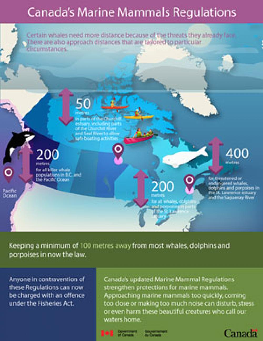 Marine Mammals Regulations
