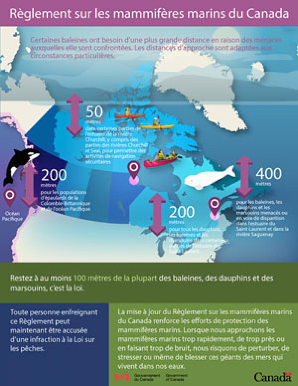 Règlements sur les mammifères marins
