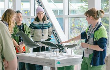 A guide shows whales to visitors. 