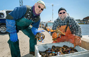Des pêcheurs gaspésiens fiers de leurs prises